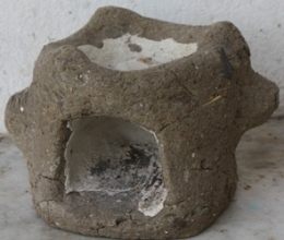 Fucuni